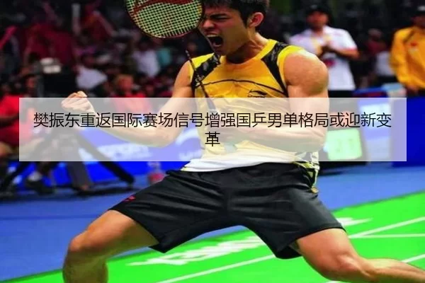 樊振东重返国际赛场信号增强国乒男单格局或迎新变革